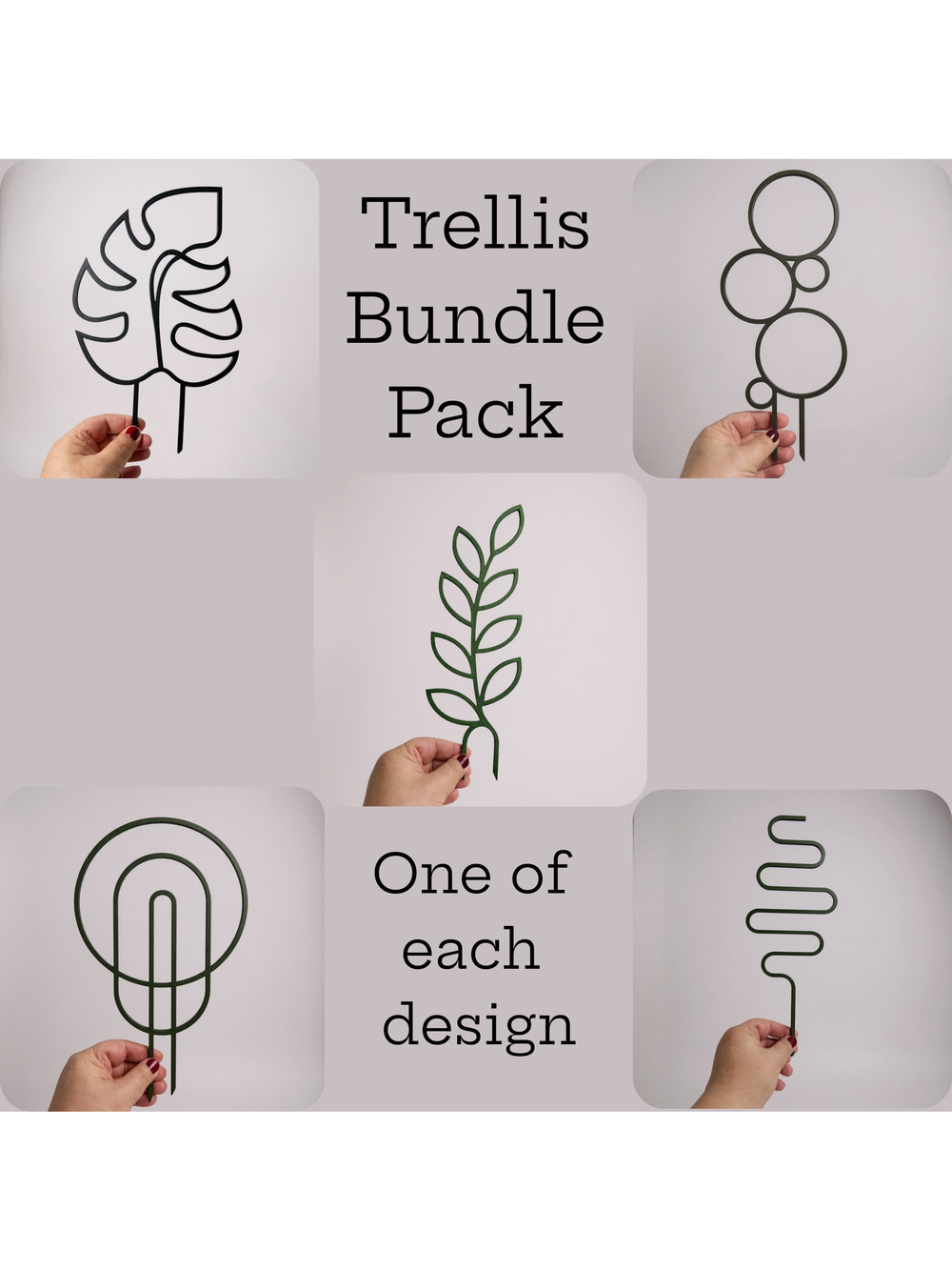 Modern Plant Trellis, Squiggle Shaped Plant Support, Indoor Garden Decor